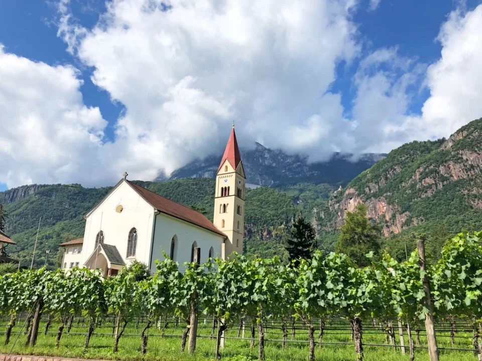 Weinanbau in Südtirol