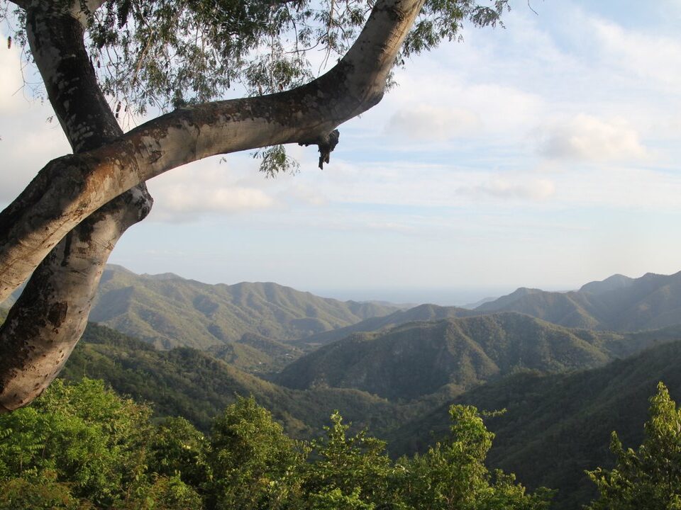 Sierra Madre