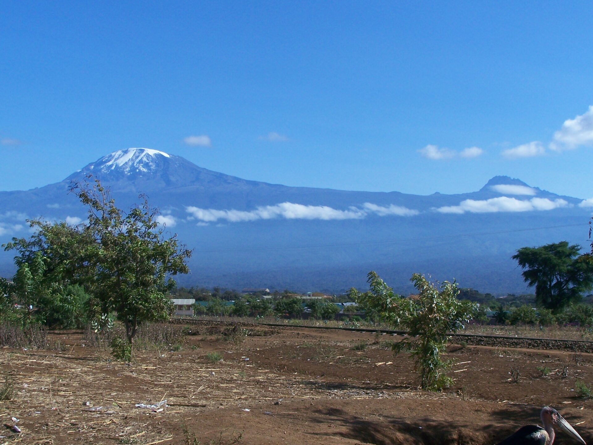 Blick auf den Kilimanjaro