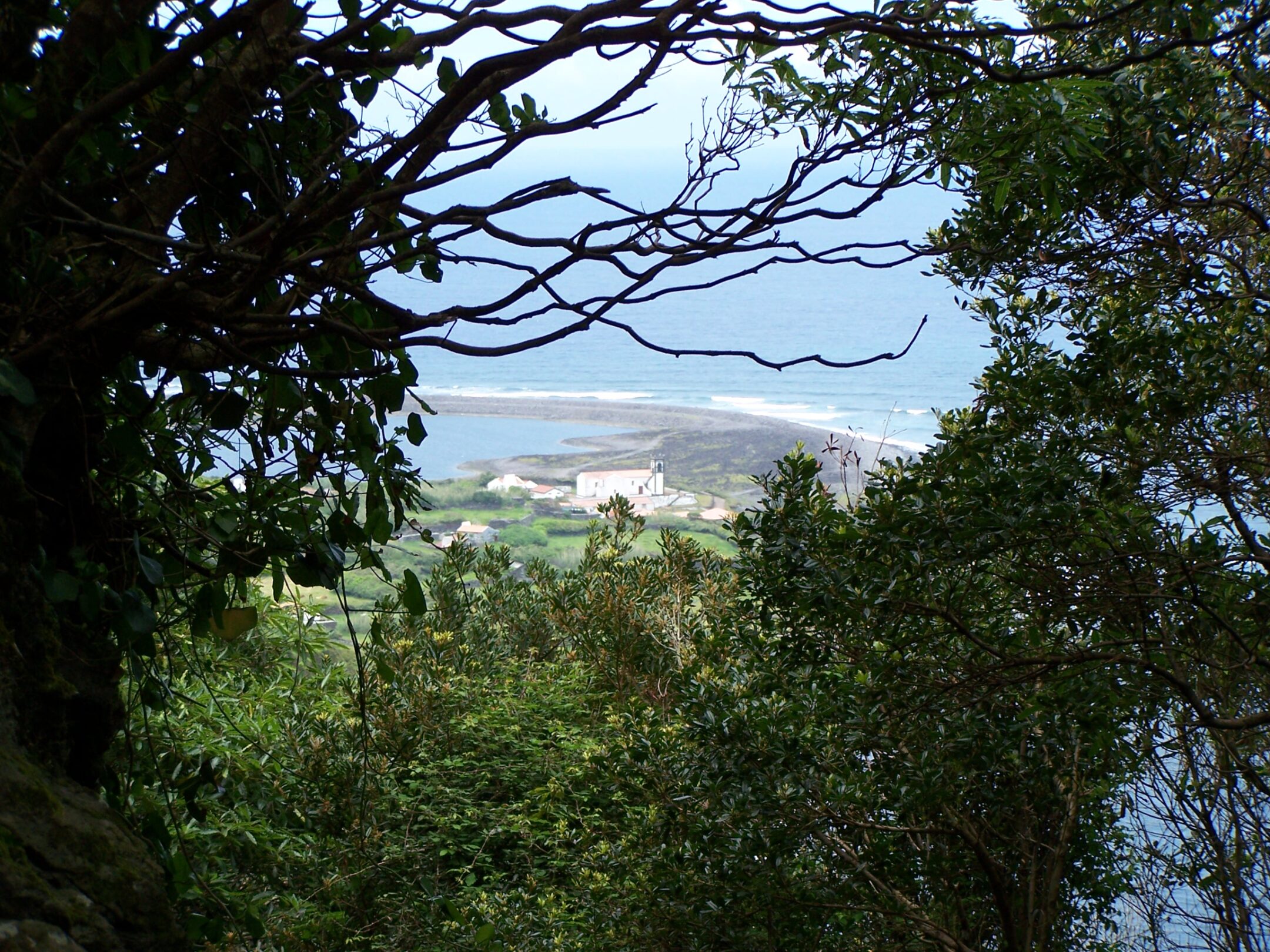 Ausblick von der Steilküste