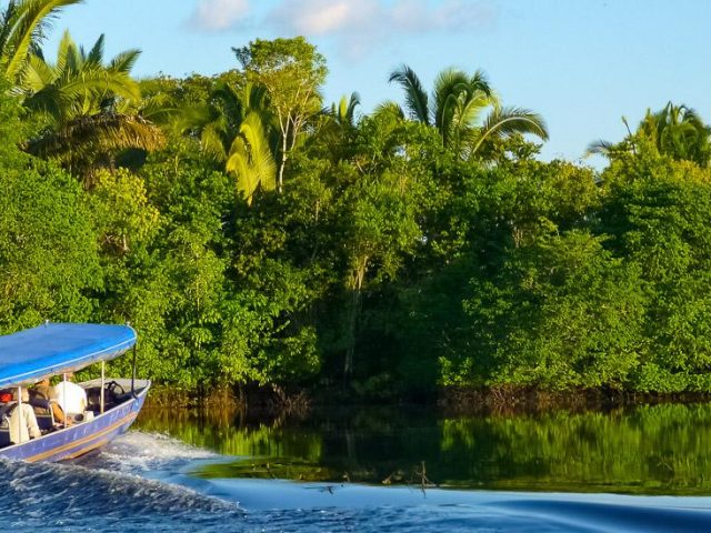 Bootsfahrt im Amazonas-Gebiet