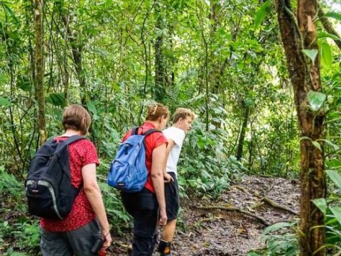 Wanderung durch den Regenwald