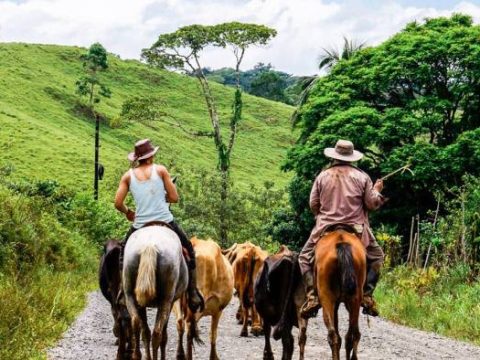 Costa Rica: Cowboys