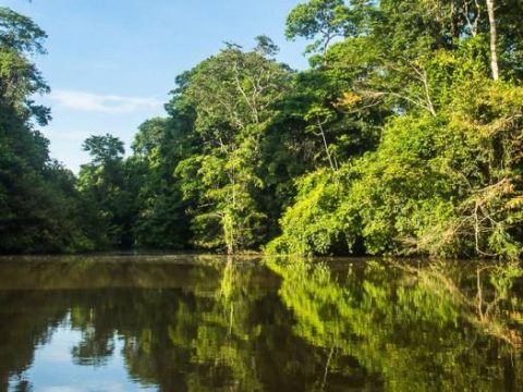 Tortuguero Nationalpark