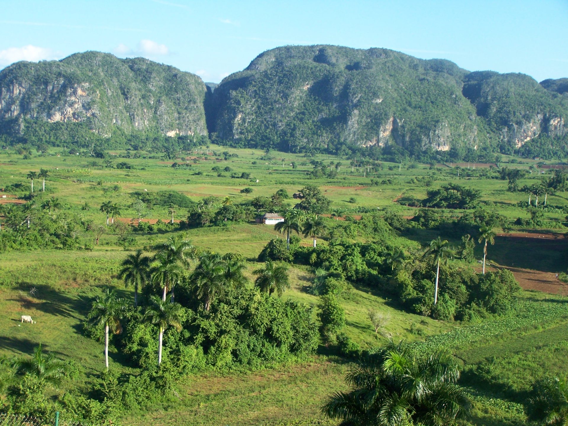 Im Viñales-Tal