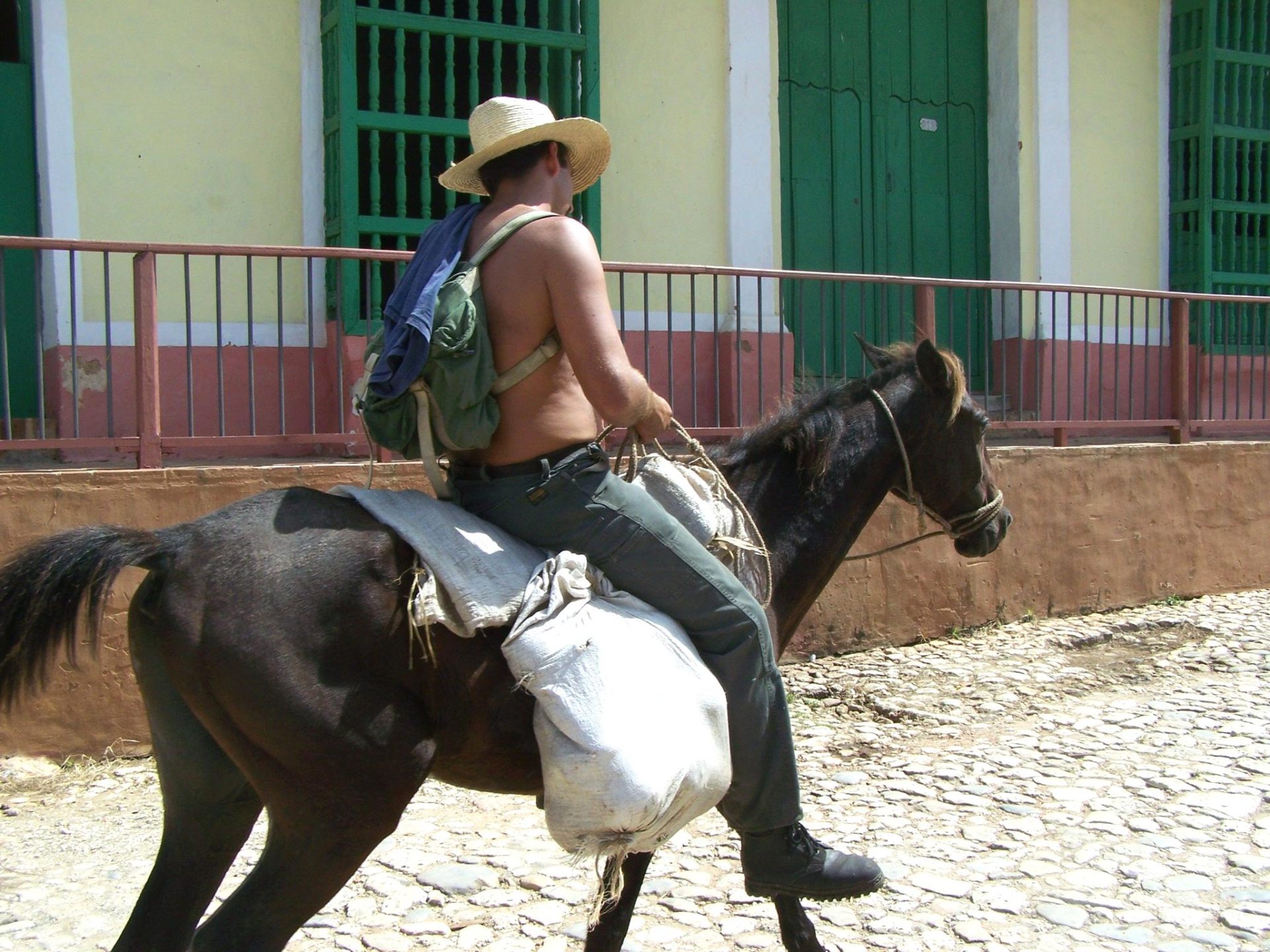 Kuba: Pferd mit Reiter