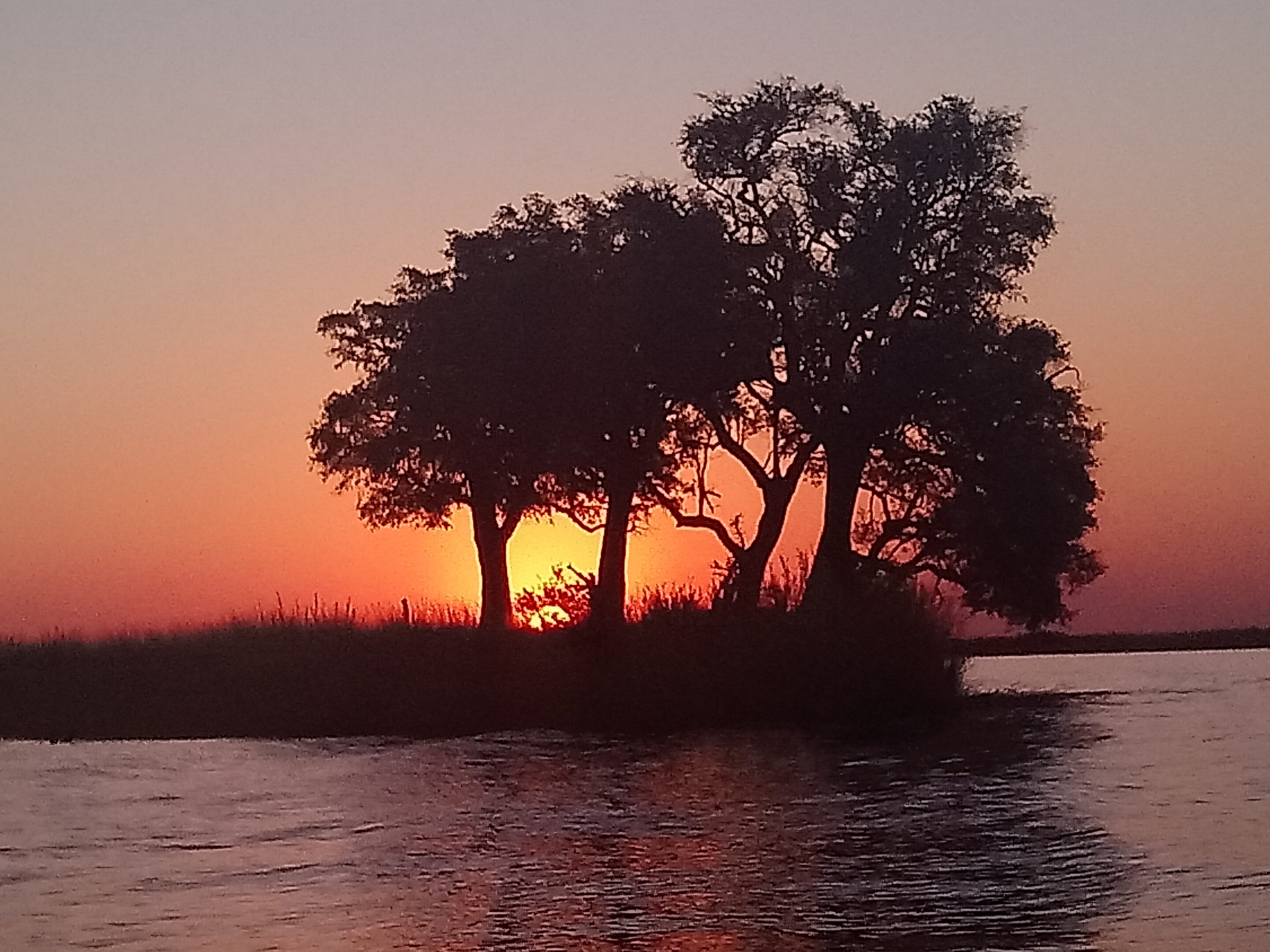 Sonnenuntergang im Okavango-Delta