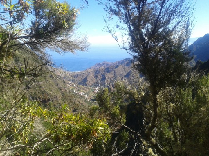 Gomera: Blick auf die Küste