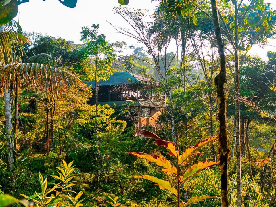 Regenwaldlodge Las Cascadas
