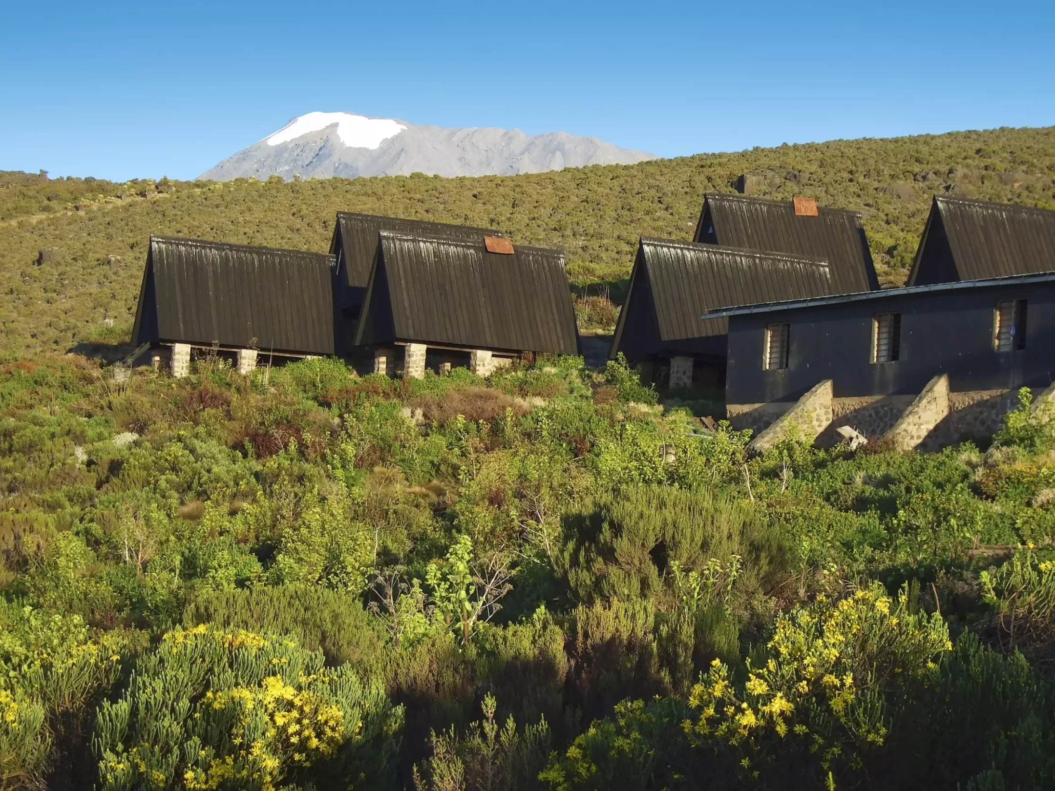 Horomboro-Hütten am Kilimanjaro