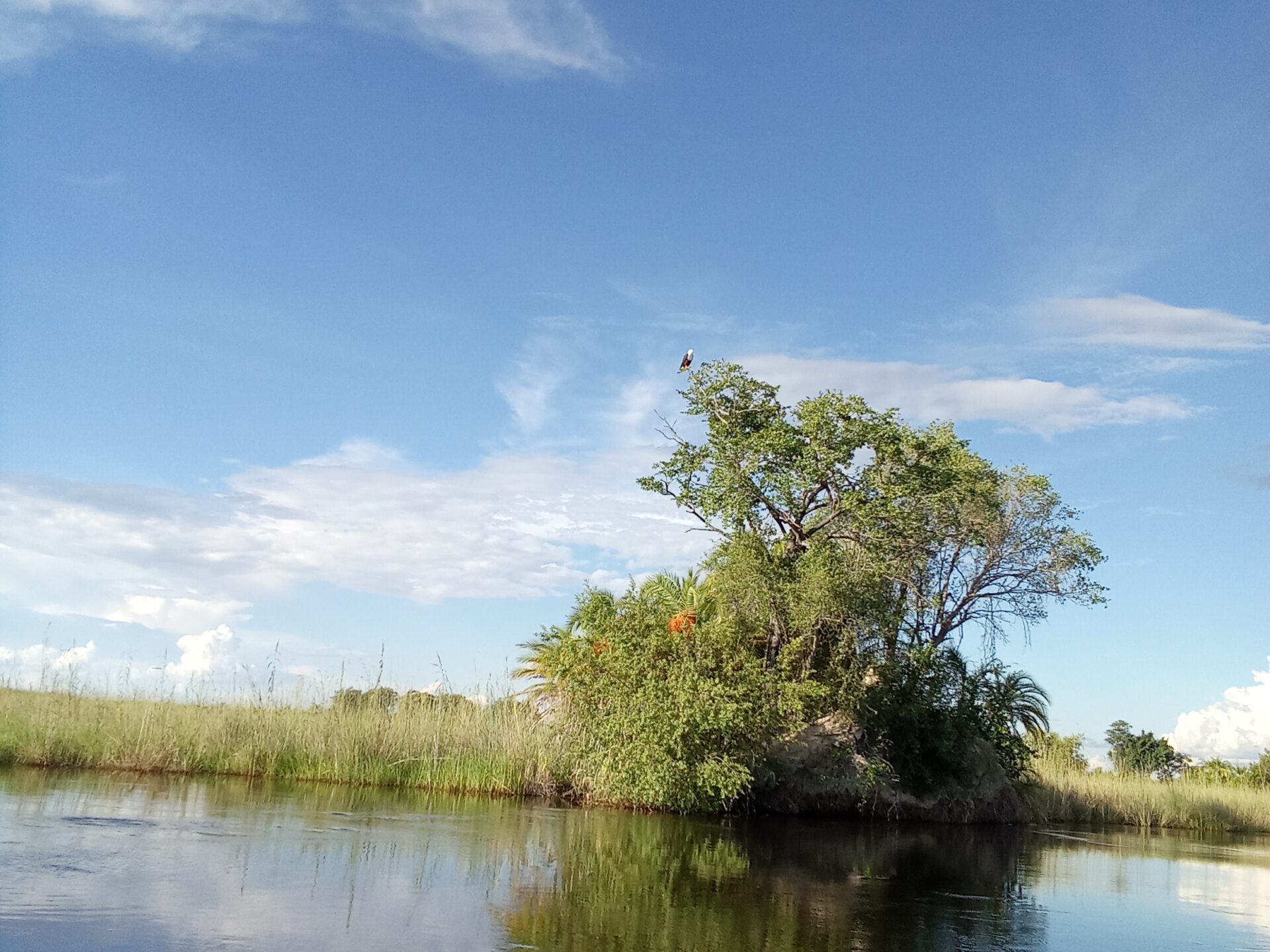 Bootsfahrt auf dem Okavango