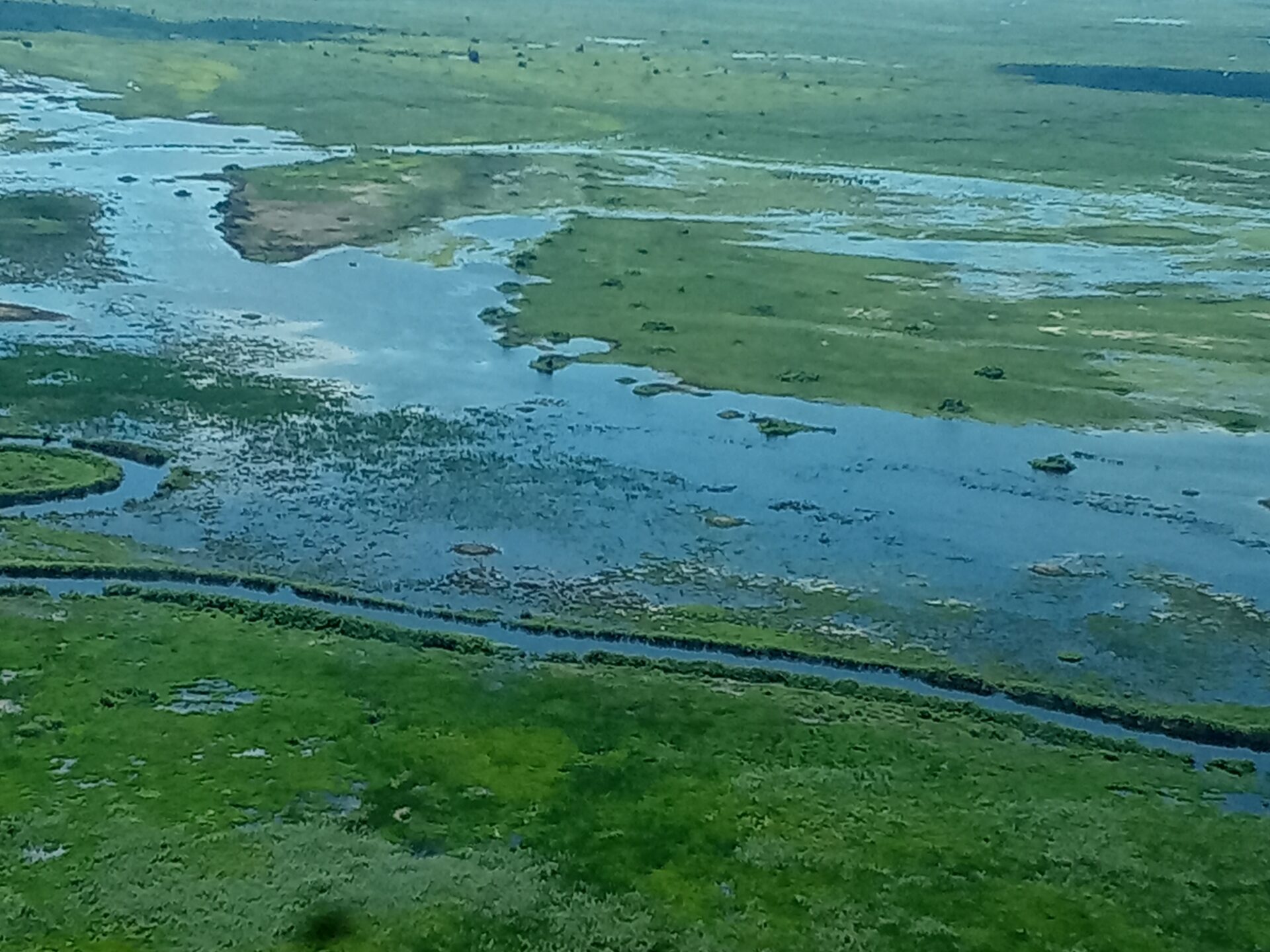 Blick auf das Okavango-Delta