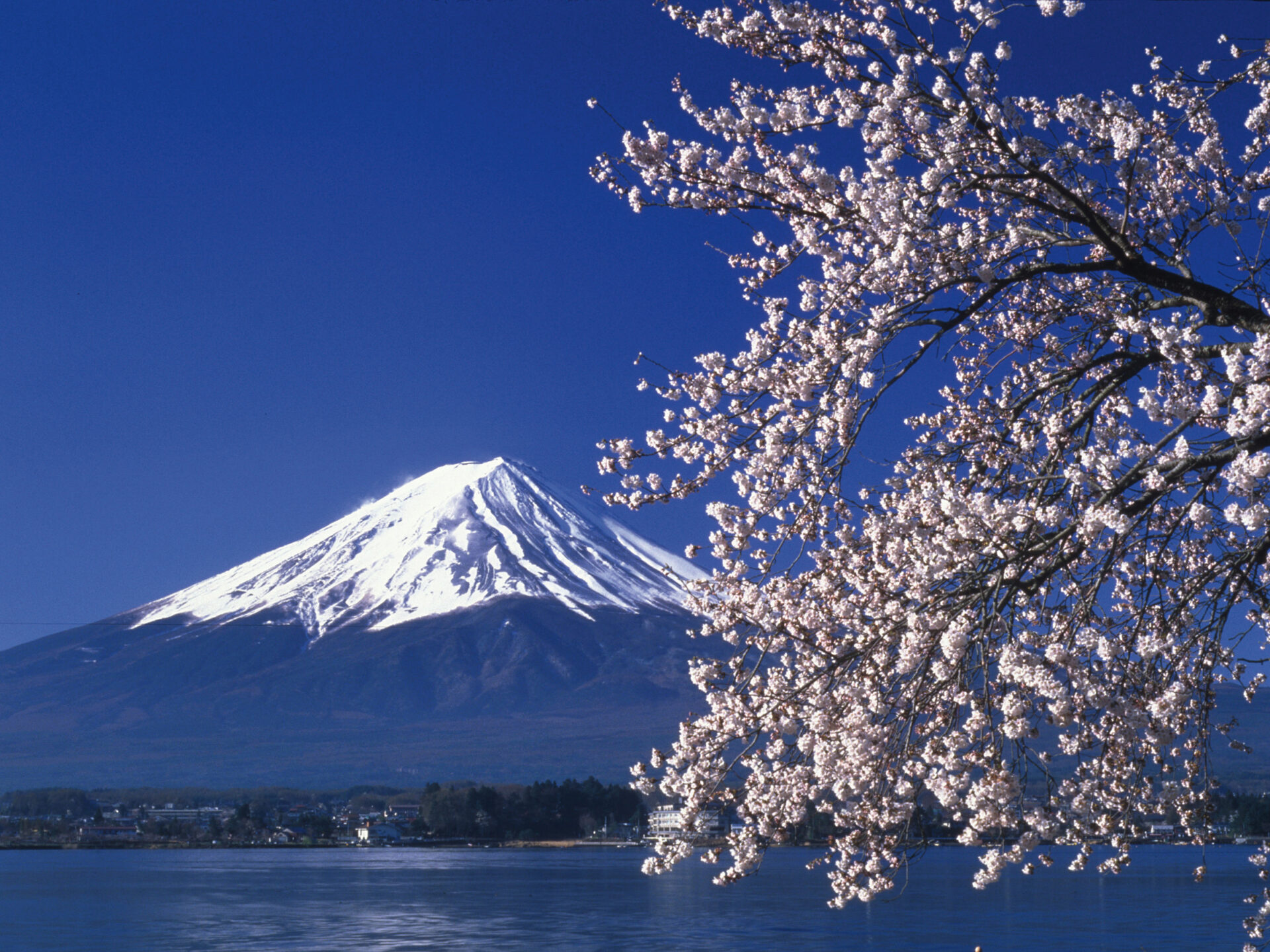 Fuji-san
