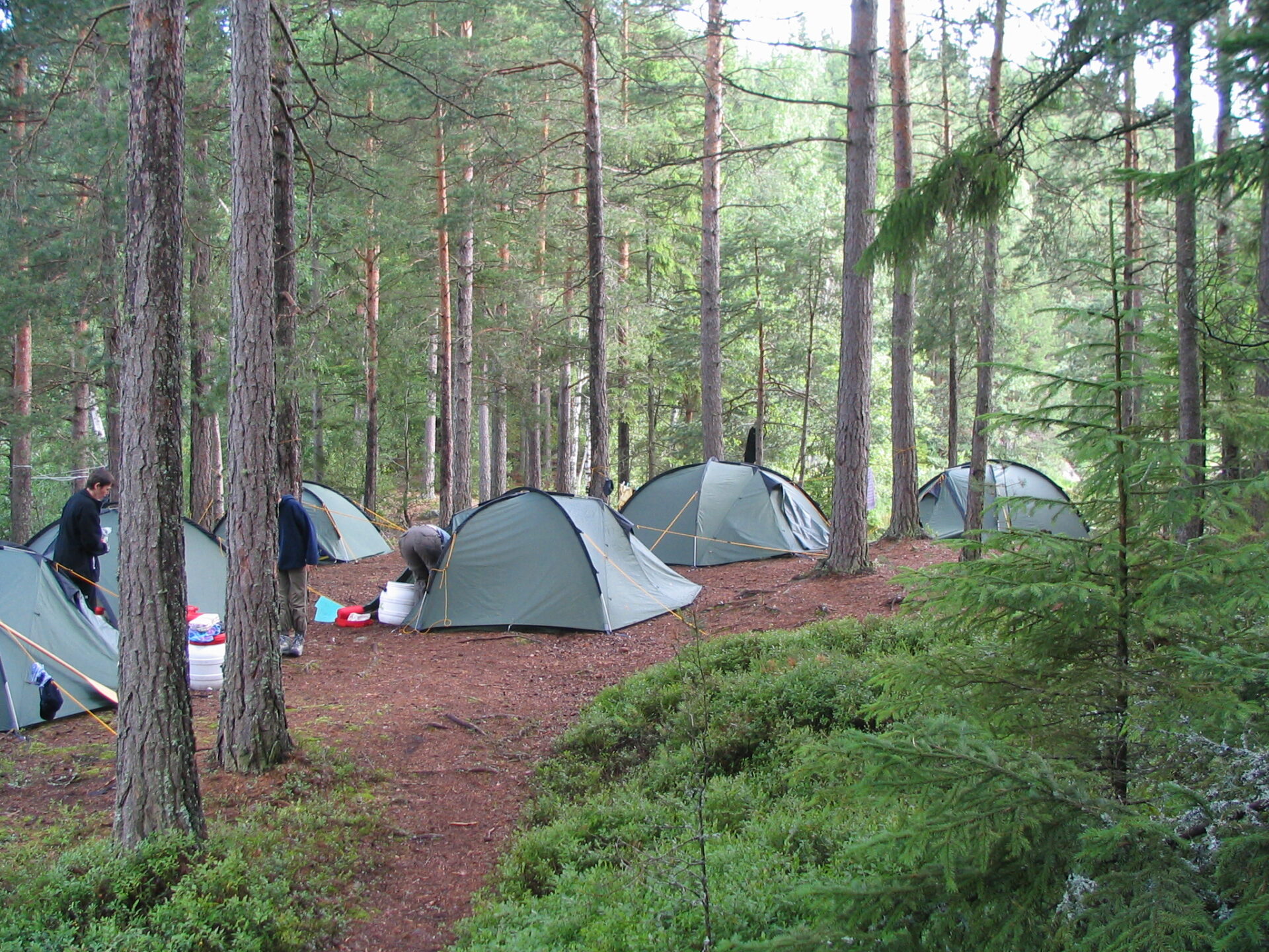 Zeltlager im Wald