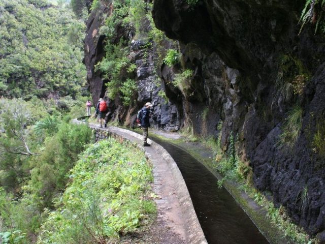 Wandern auf uralten Levadas