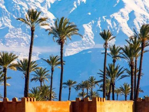Palmen, Mauern und schneebedeckte Berge in Marrakesch