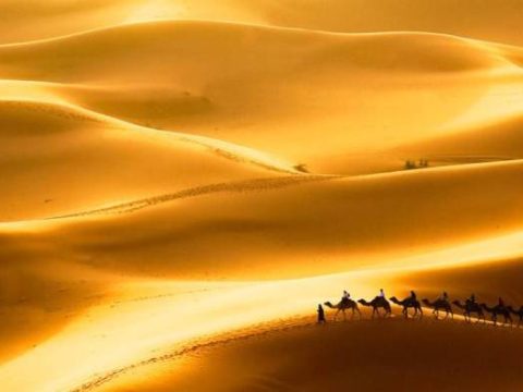 Kamelkarawane in den Sanddünen Erg Chebbi, Sahara