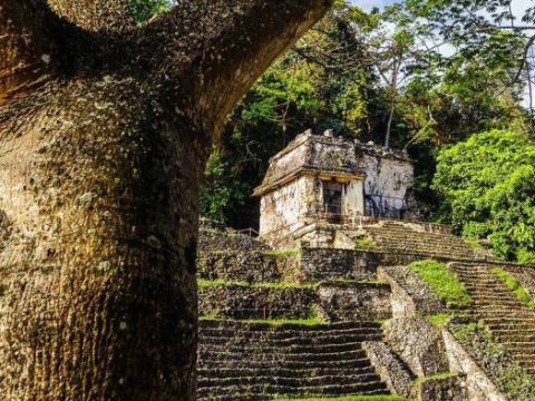 Tempel in Palenque