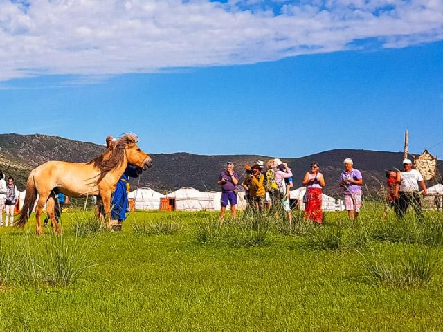 Jurtencamp der Nomadengemeinde Gurvanbulag