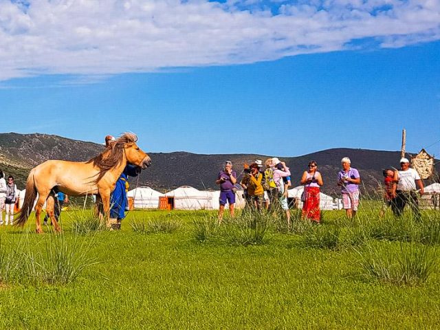 Jurtencamp der Nomadengemeinde Gurvanbulag