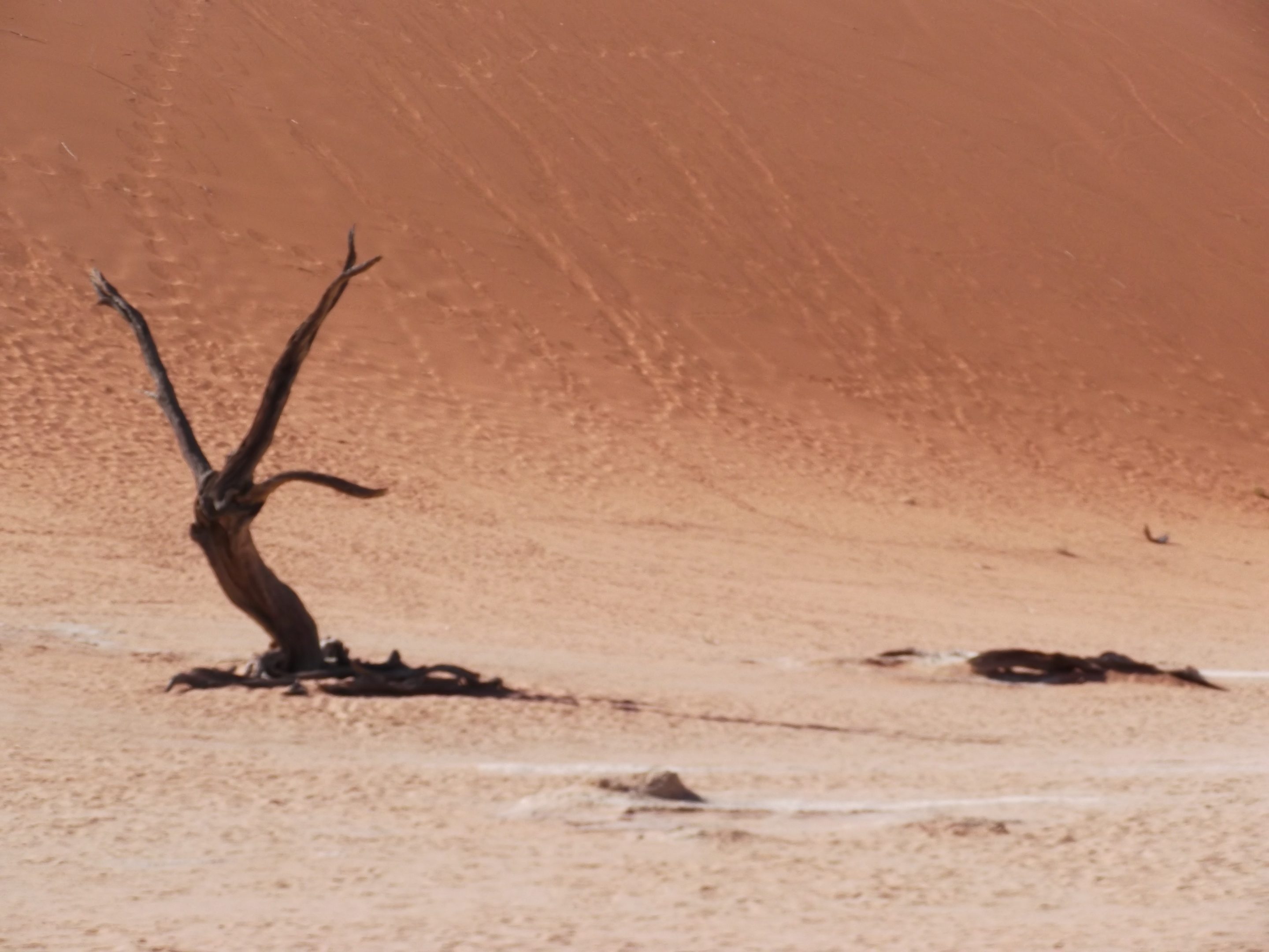 Deadvlei