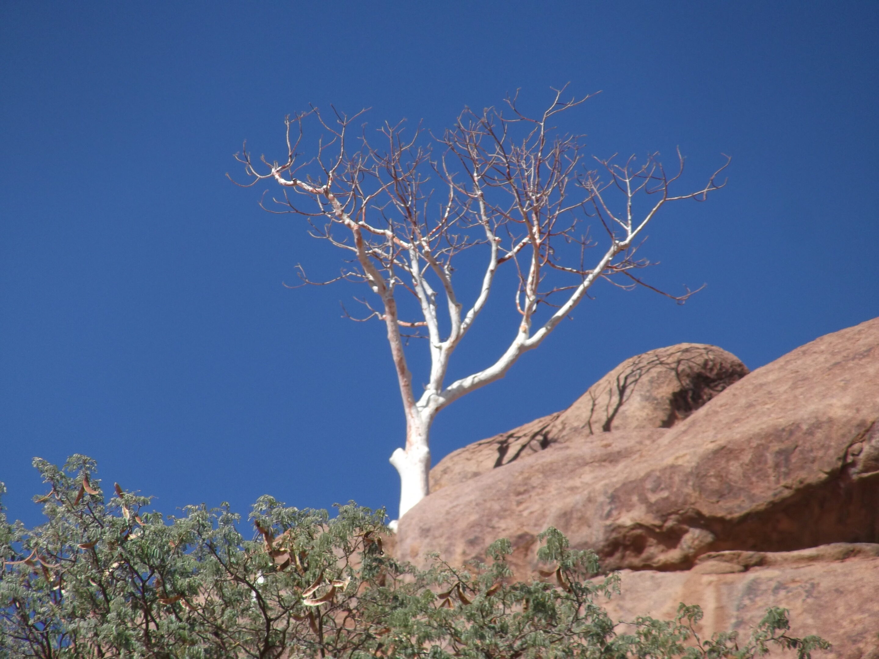 Naturidylle