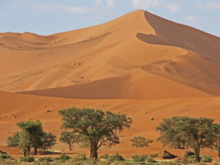 Dünen im Sossusvlei