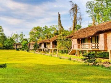 Temple Tiger Jungle Lodge