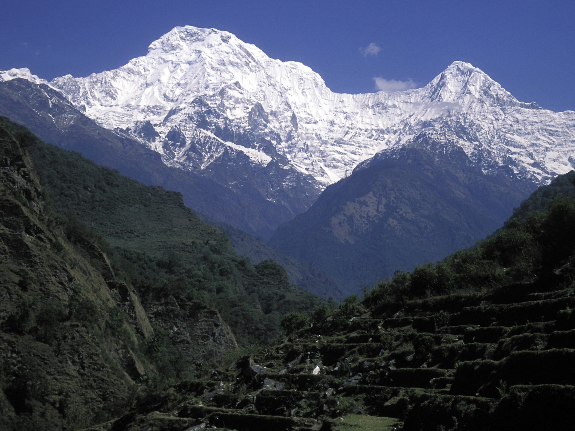 Blick von Ghandruk zur Annapurna-Gruppe