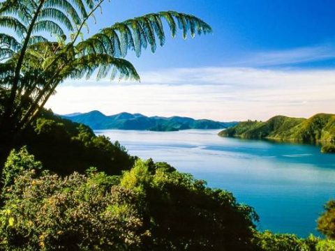 Die Picton-Bucht in den Marlborough Sounds