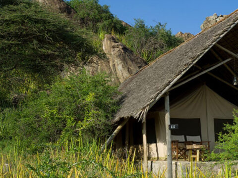 Olduvai Camp