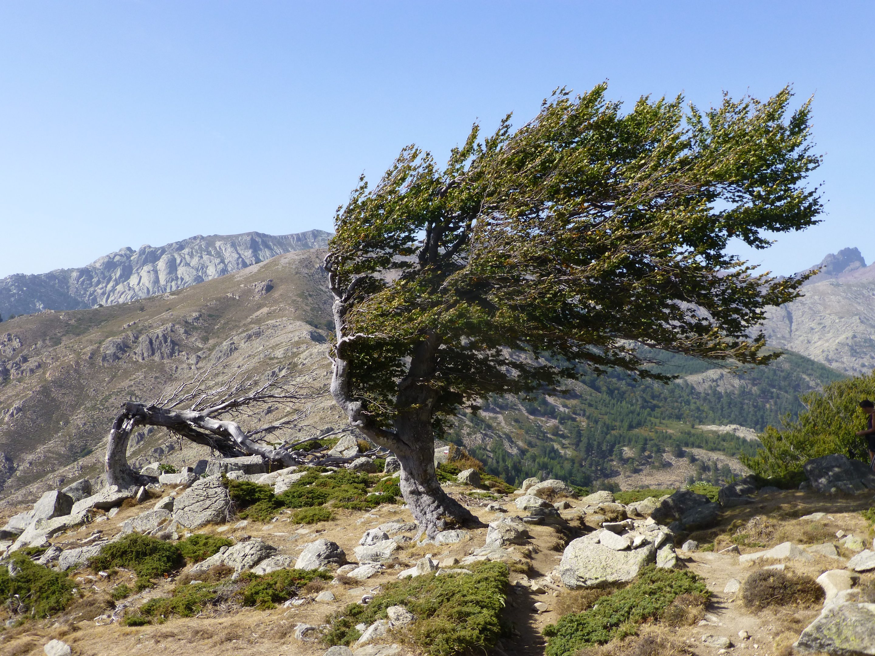 Atemberaubende Landschaft