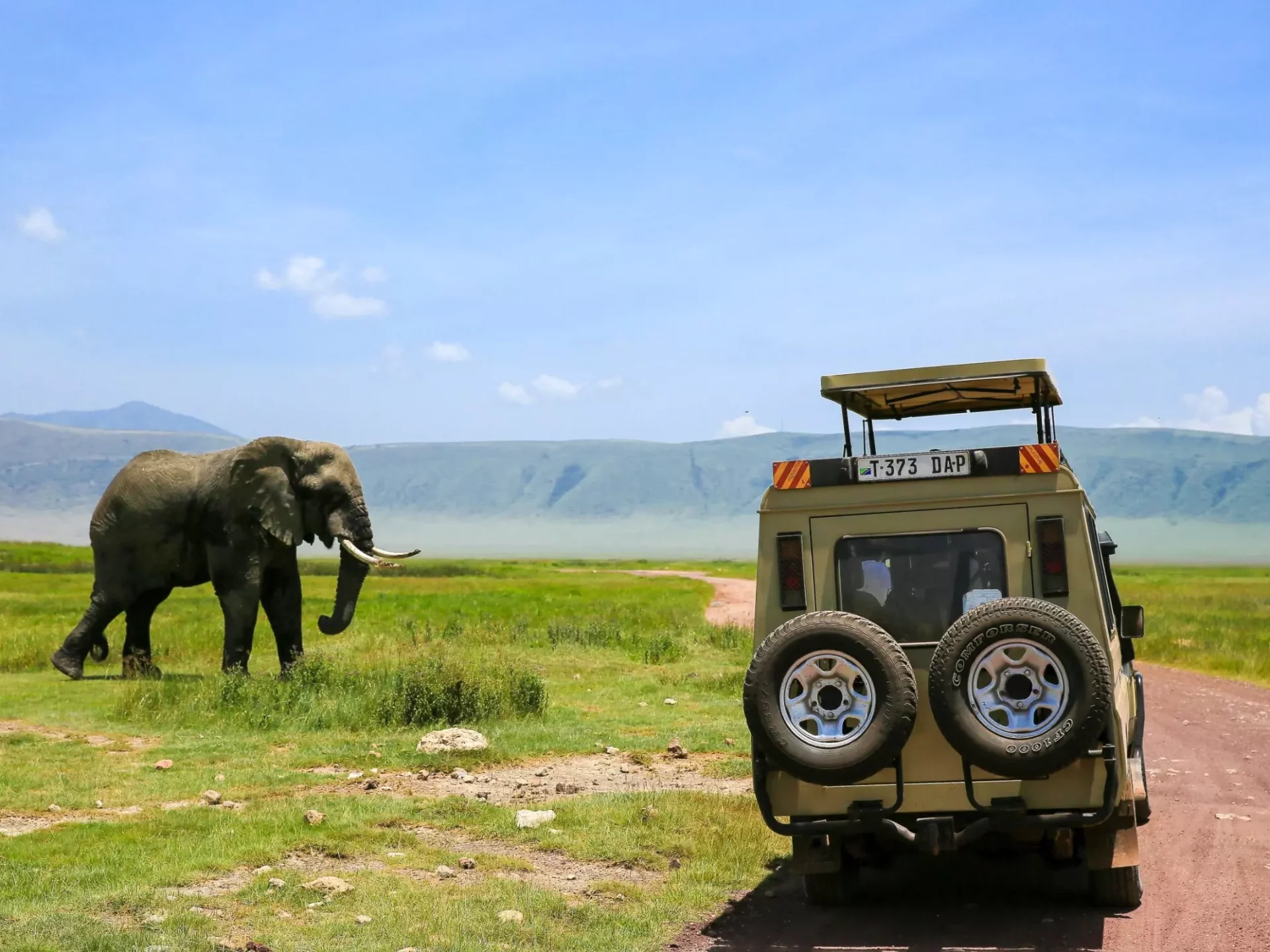 Pirschfahrt im Ngorongoro-Krater
