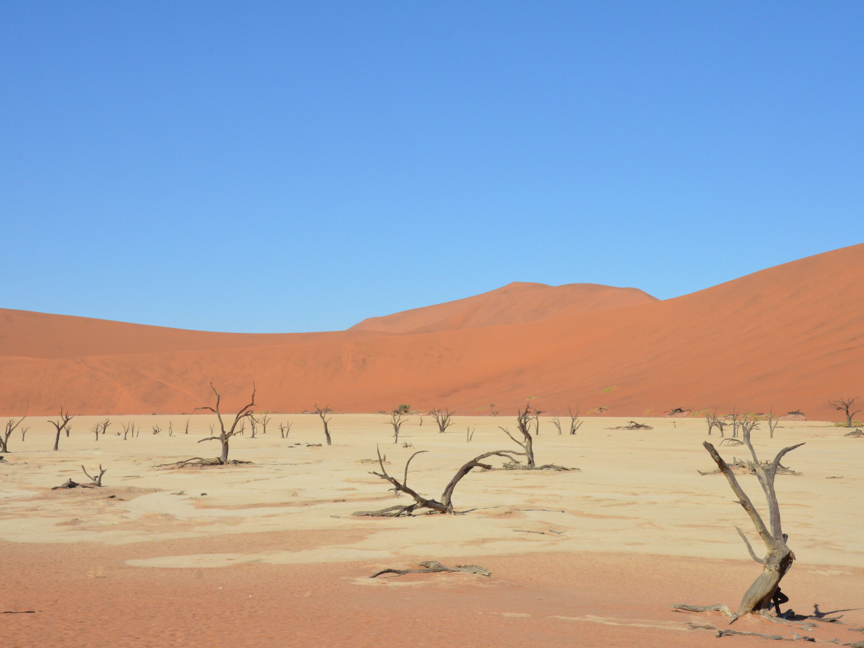 Deadvlei