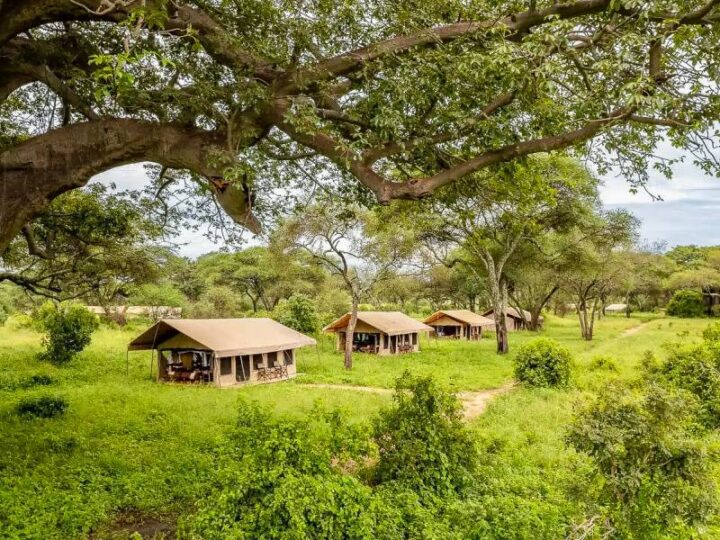 Baobab Tented Lodge