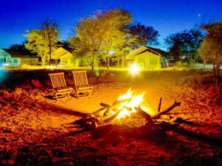 Serengeti Wild Camp