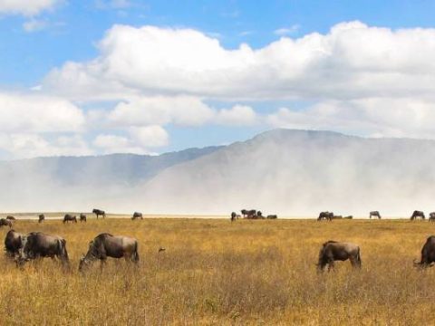 Ngorongoro-Krater