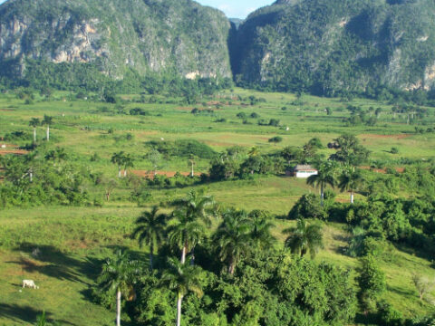 Viñales-Tal