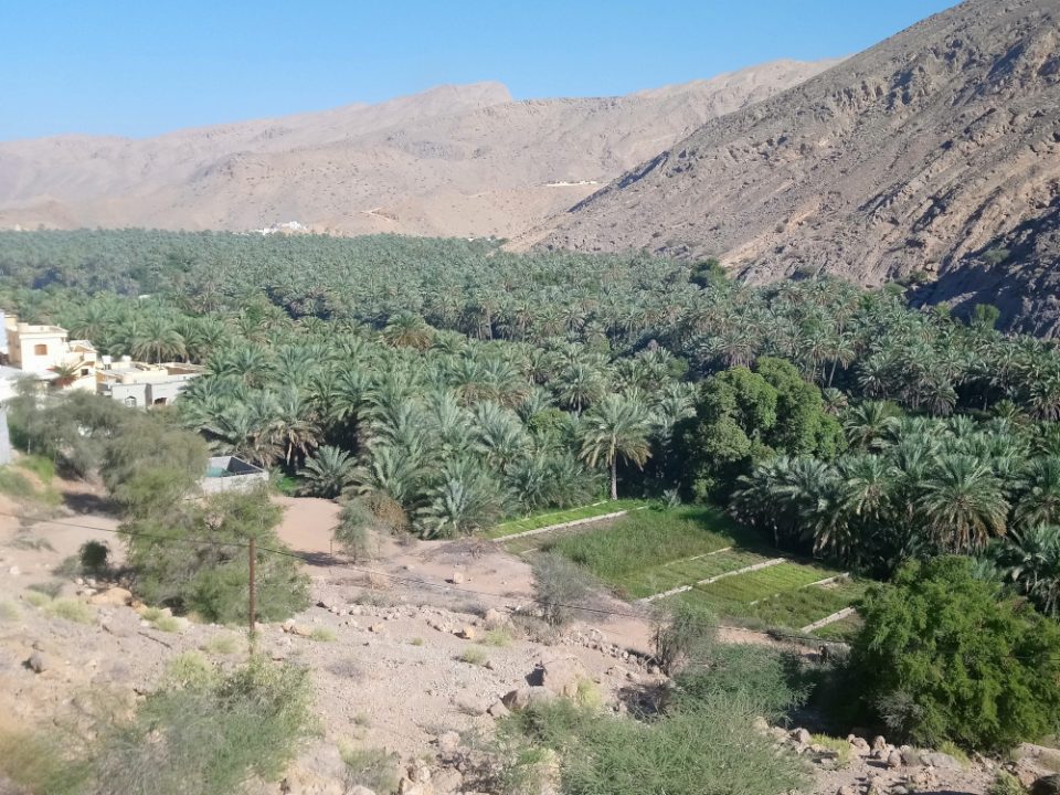 Wadi-Landschaft in Oman