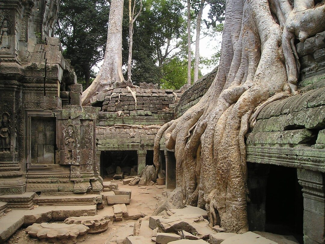 Bäume und Tempel
