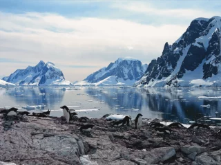 Die Arktische Halbinsel