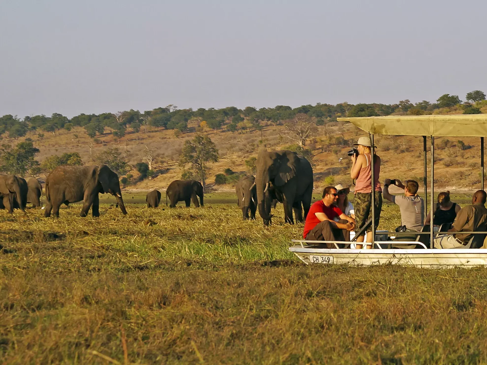 Boots-Safari im Chobe Nationalpark