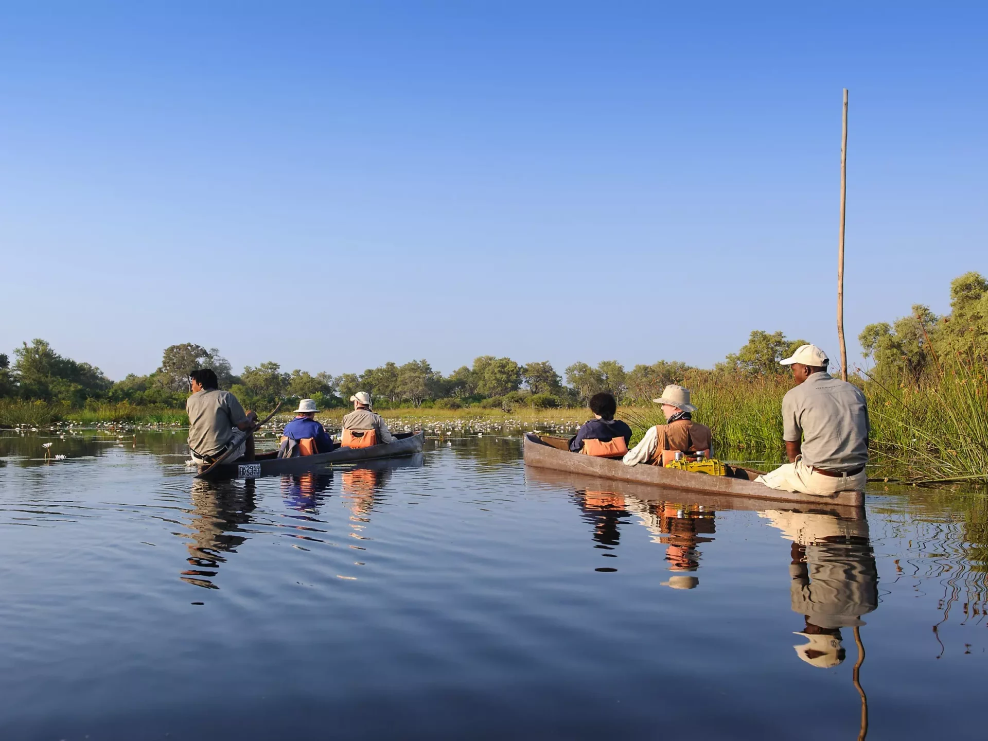 Mokoro-Tour im Okavango-Delta