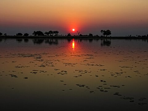 Afrikanischer Sonnenuntergang