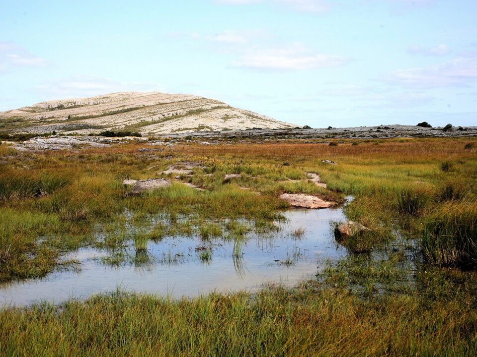 Burren