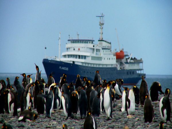 MS Plancius in Antarktika