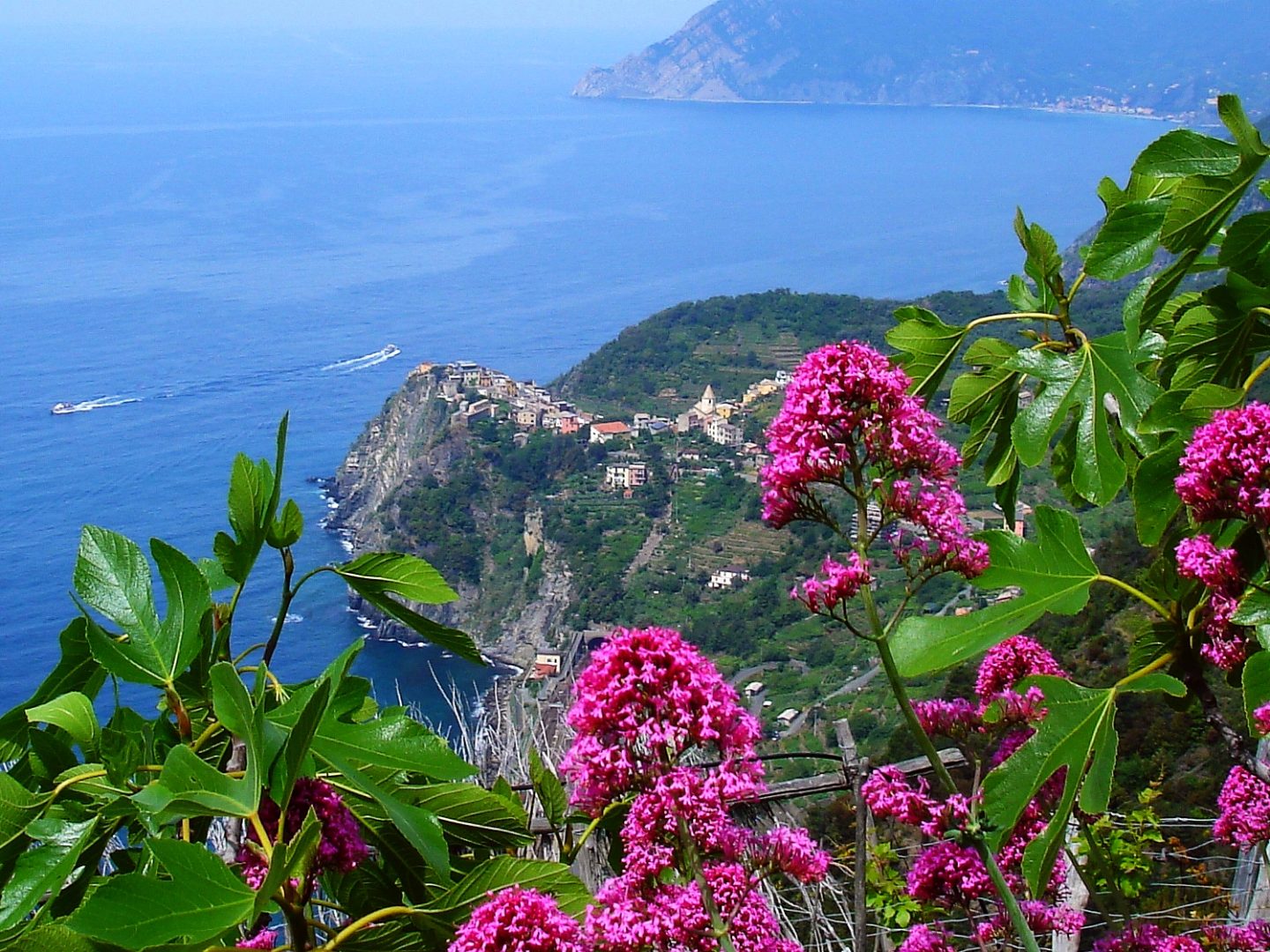 Küste bei Corniglia