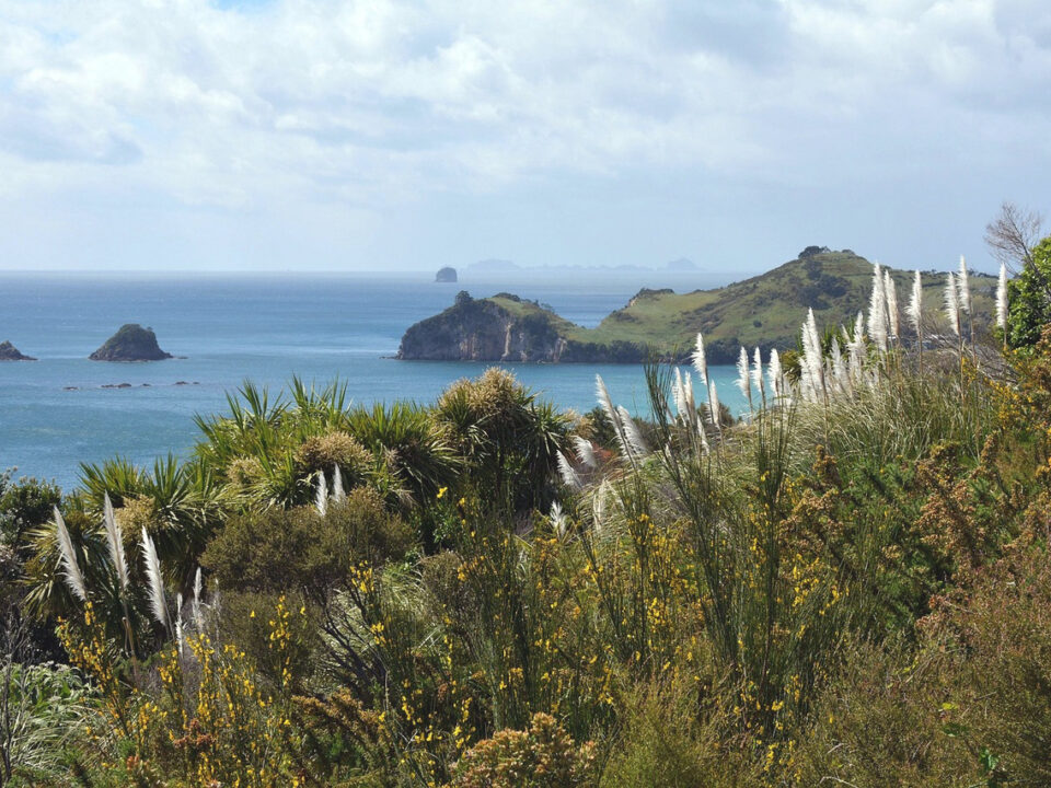 Coromandel-Halbinsel