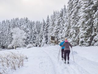 Skilanglauf im Winter