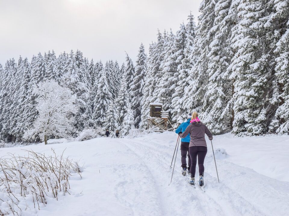 Skilanglauf im Winter